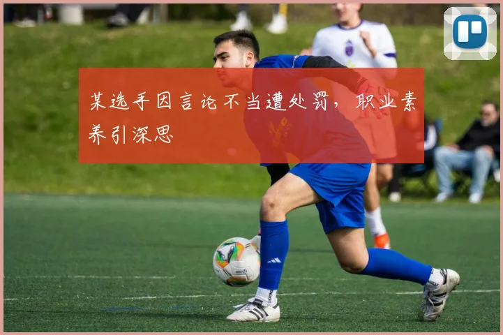 某选手因言论不当遭处罚，职业素养引深思
