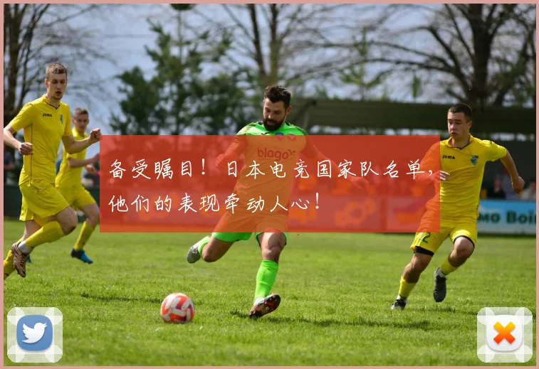 备受瞩目！日本电竞国家队名单，他们的表现牵动人心！